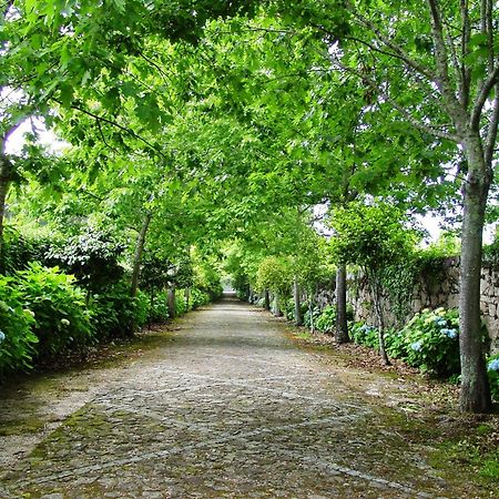 Casa Da Lage Bed and Breakfast Ponte de Lima Εξωτερικό φωτογραφία